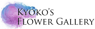 Kyoko's Flower Gallery